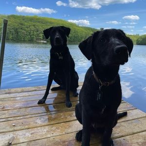 A smoke-free home, but not a pet-free home 😊